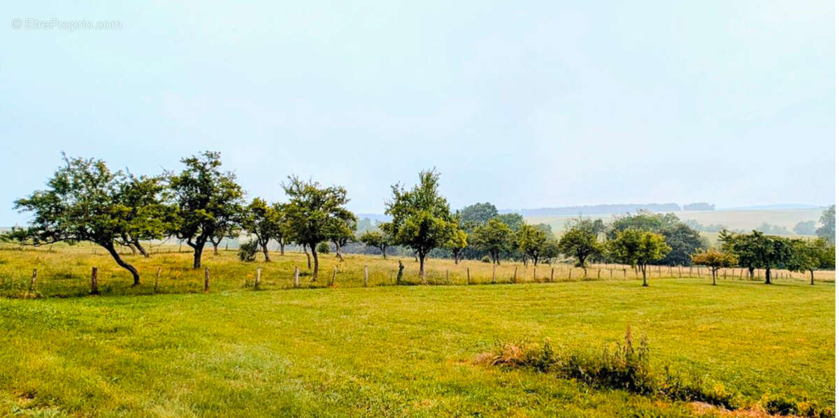 Terrain à MAZERULLES