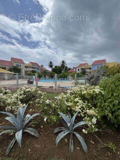 Appartement à LE GOSIER