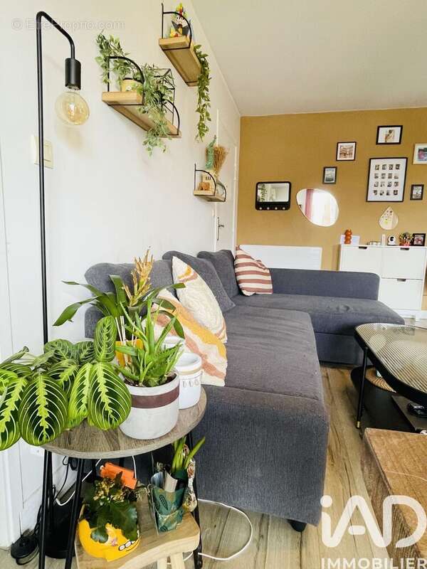 Photo 3 - Appartement à BAILLEUL