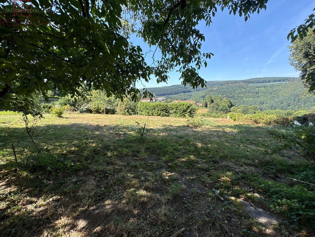 Maison mazamet - roquerlan - photo 26
