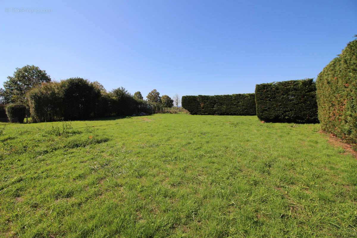 Terrain à BEAUNE