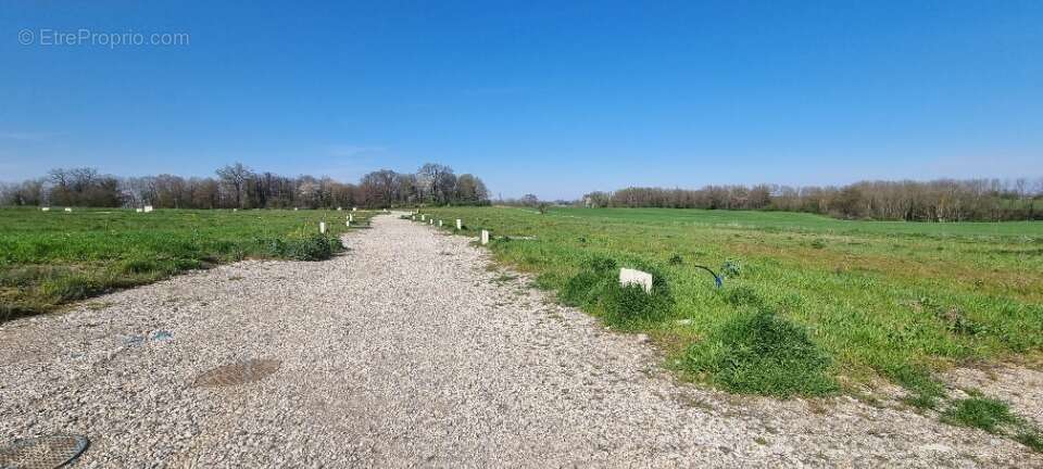 Photo Terrain à Montanay au prix de 229 000€
