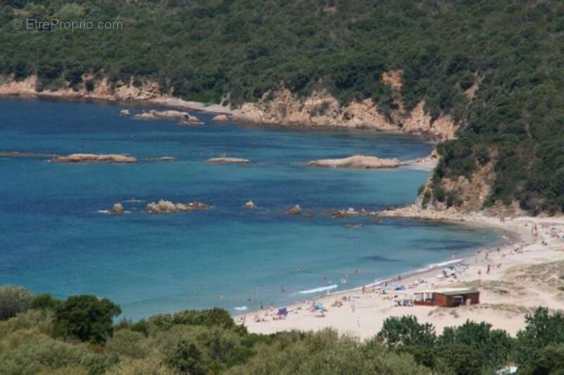 Beau T2 en Corse du sud (20) - photo 11
