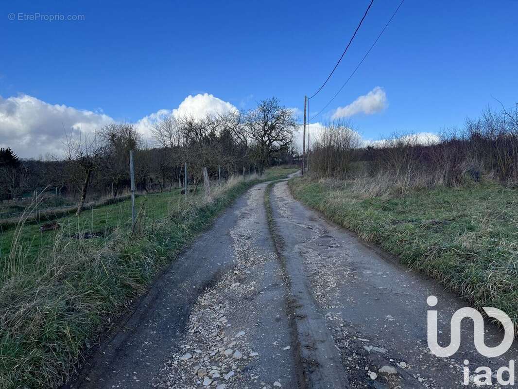 Photo 3 - Terrain à MONTAUVILLE