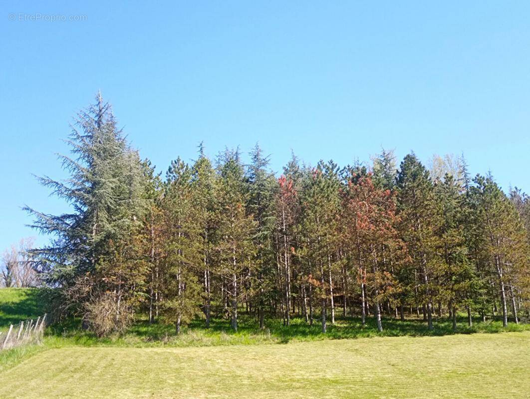 Terrain à LOMBERS