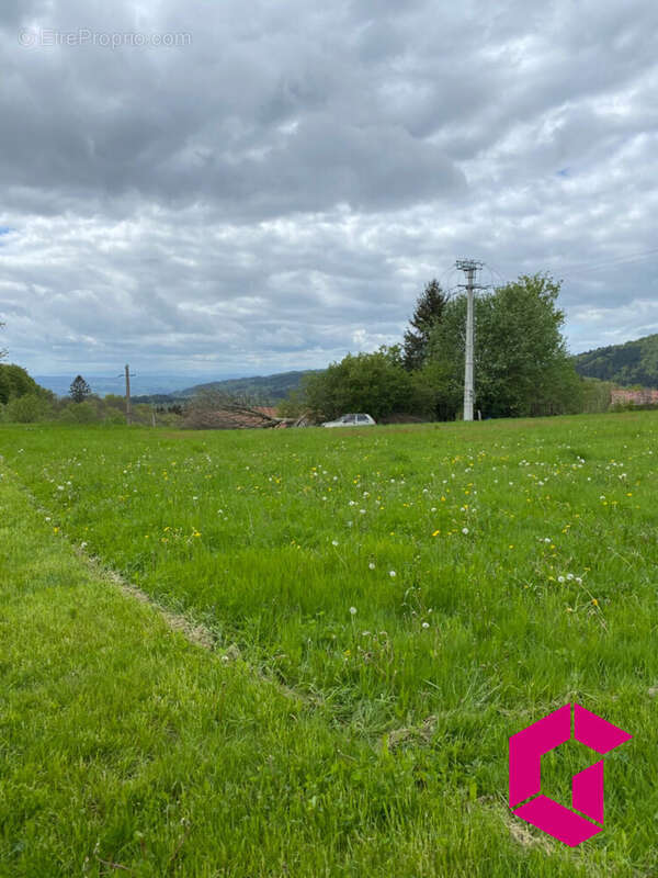 Terrain à LE BRUGERON