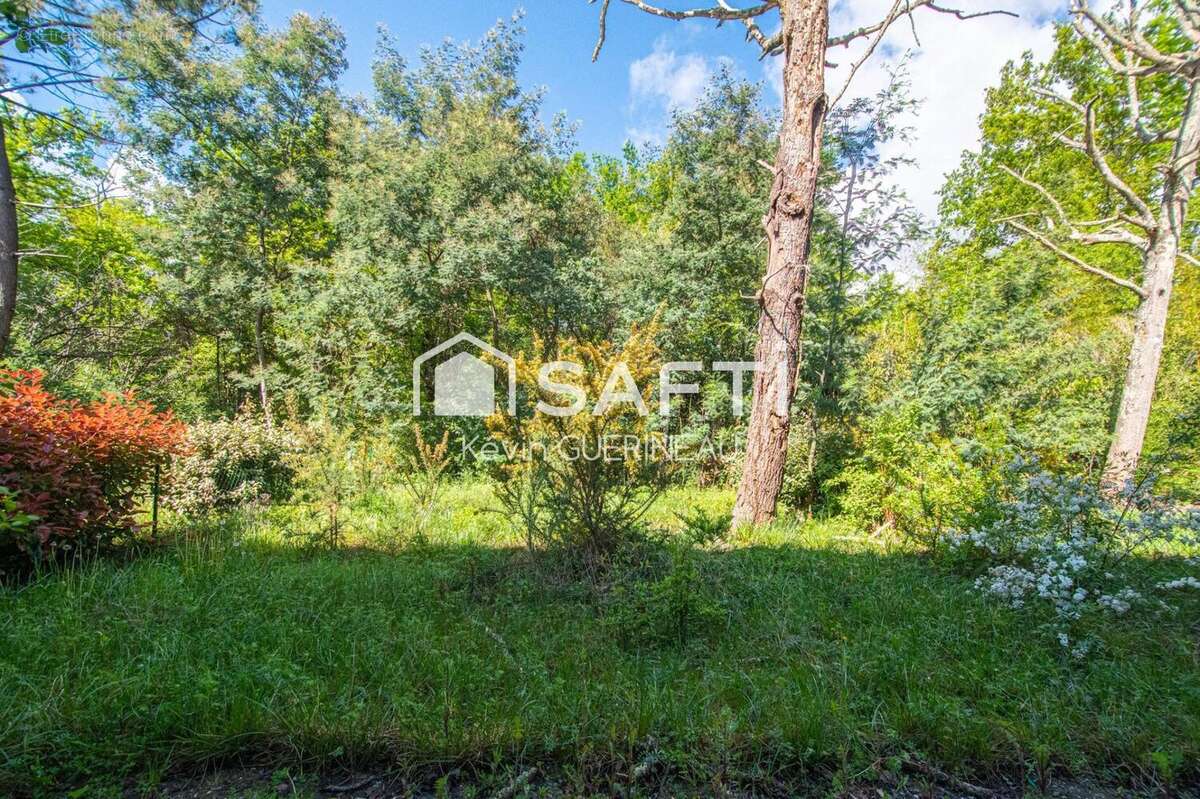 Photo 4 - Maison à LE TAILLAN-MEDOC