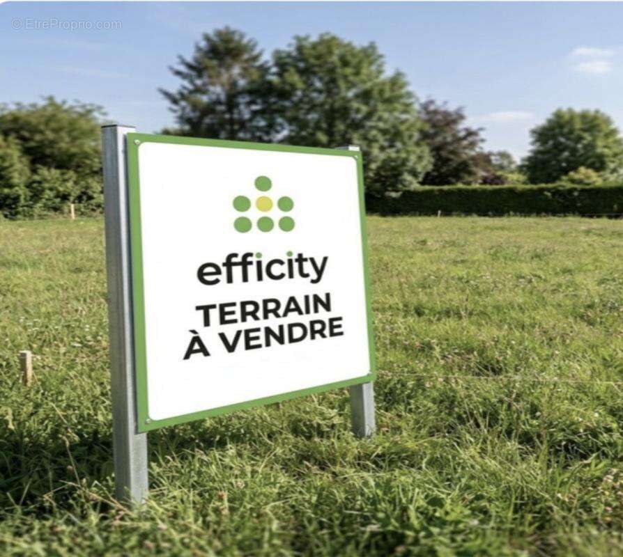 Terrain à MONTREUIL-AUX-LIONS