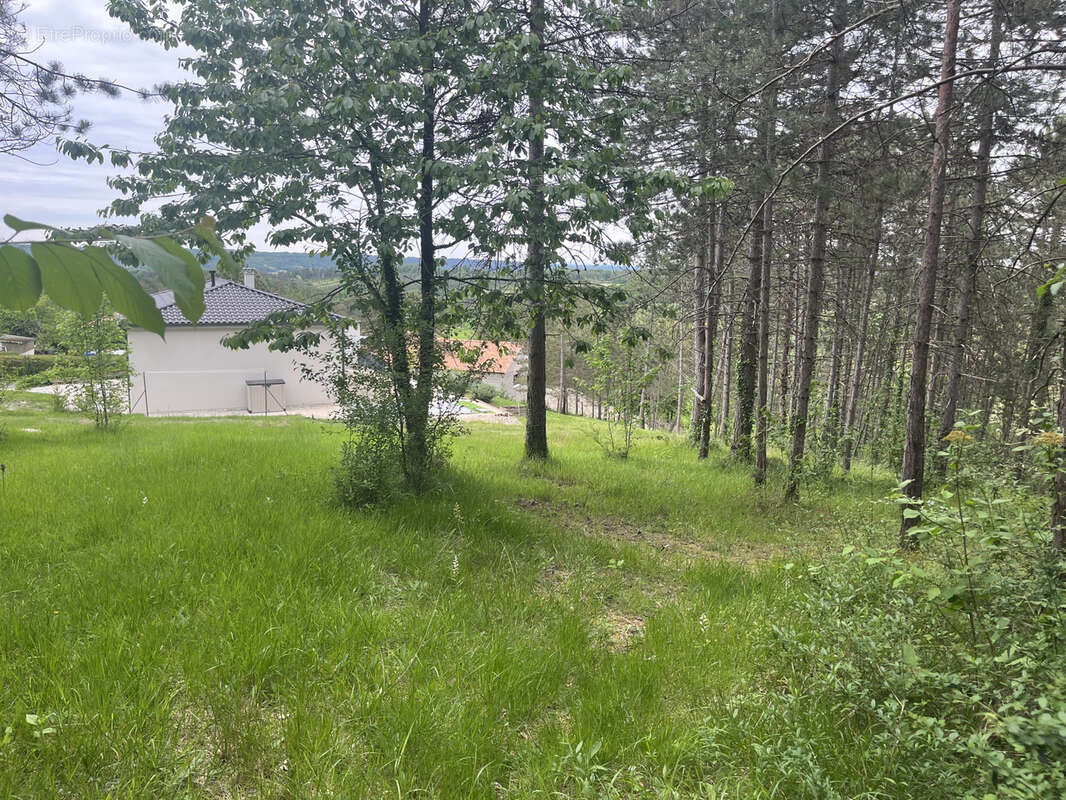 Terrain à BASSILLAC