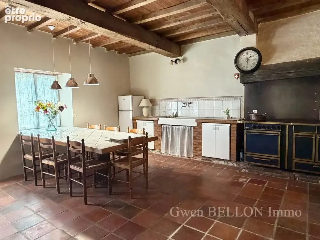 Maison 15 pièces 585 m² à vendre à L'isle-En-Dodon (31230) - photo 18