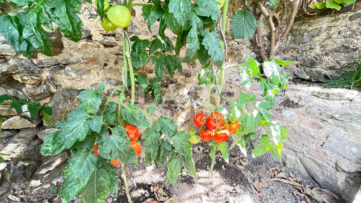 Maison ancienne de charme avec jardin, piscine et garage - Fresnay-sur-Sarthe - photo 16