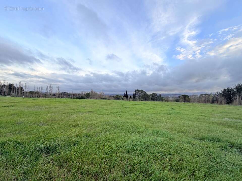 Terrain 740 m² à Alzonne  - photo 2