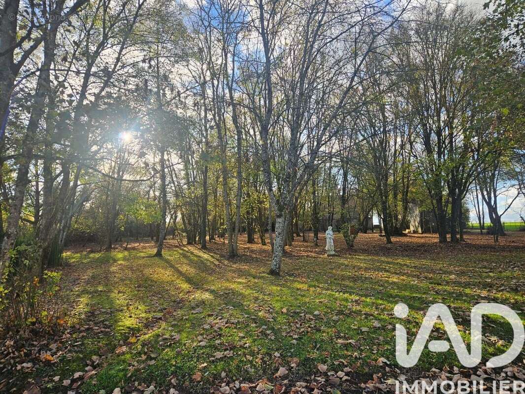 Photo 6 - Maison à VILLEDIEU-LE-CHATEAU