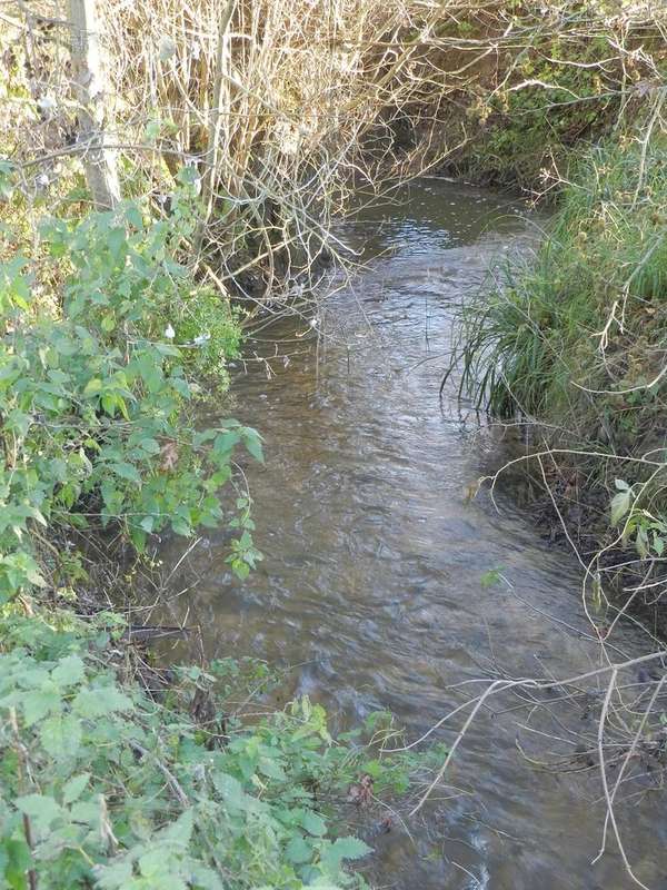 Maison à SAINT-PIERRE-SUR-DIVES