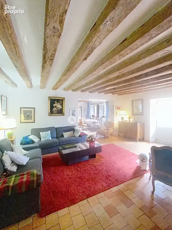 Maison 7 pièces 175 m² à vendre à Blere (37150) - photo 6