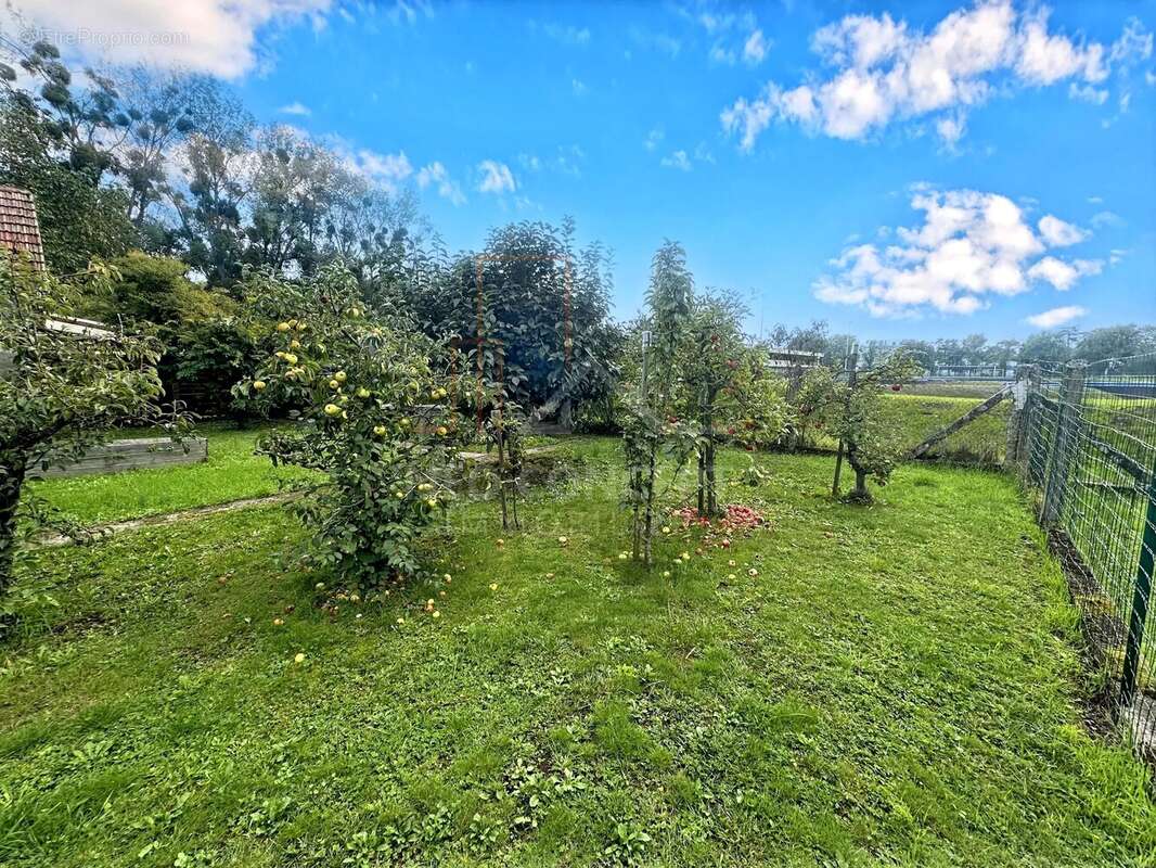 Maison à DRUSENHEIM