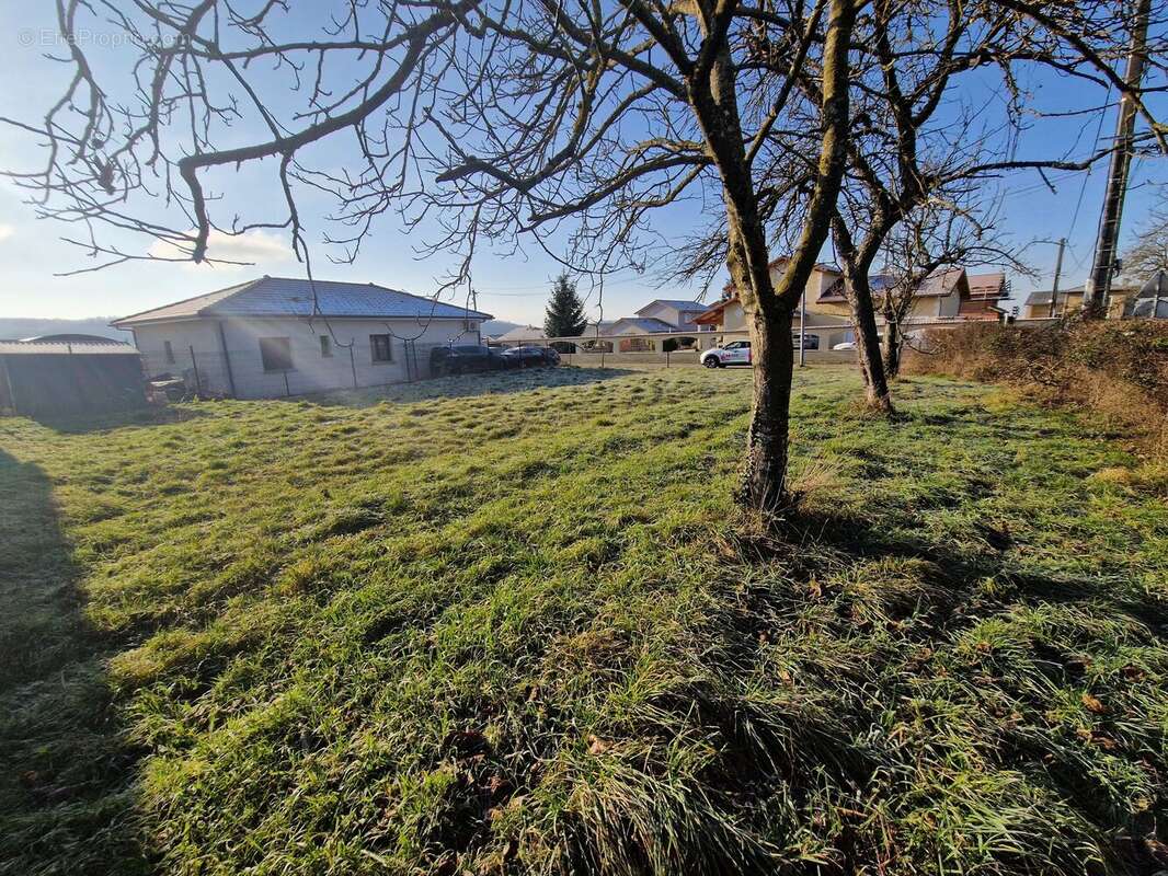 Photo 3 - Terrain à POMMIER-DE-BEAUREPAIRE