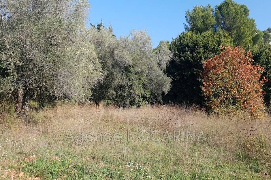 Terrain à LE CANNET