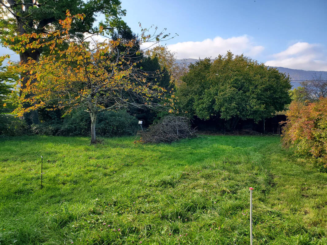 Terrain à SAINT-JORIOZ