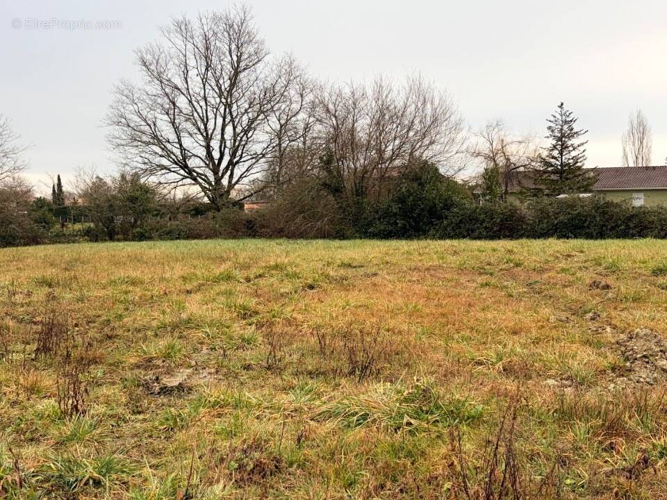 Terrain à MOULIS-EN-MEDOC