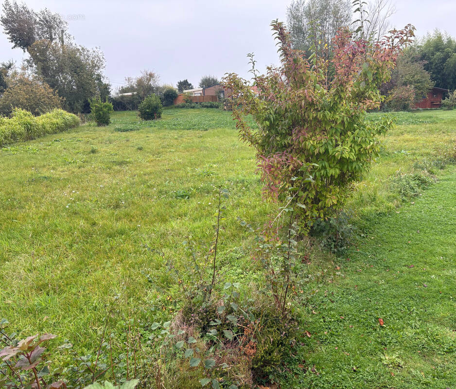 Terrain à GROFFLIERS