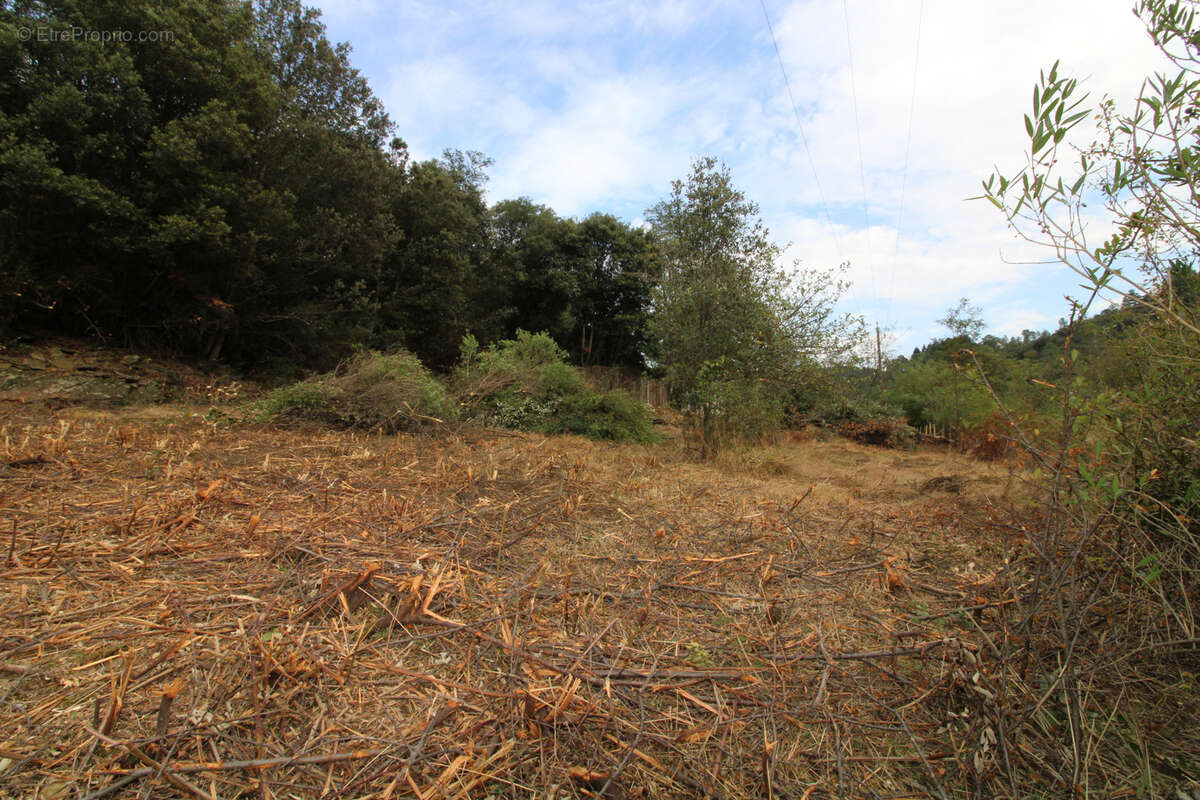 Terrain à LES PLANTIERS