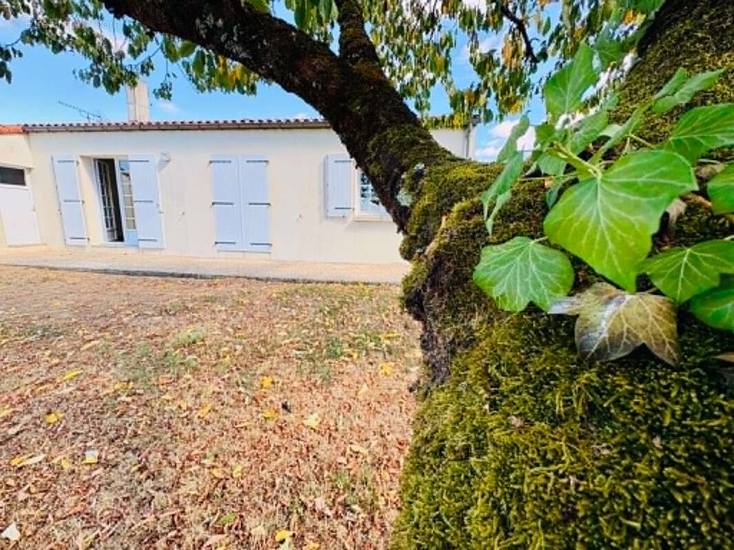 Maison de plein pied, 3  chambres (et plus si affinités !) - photo 14