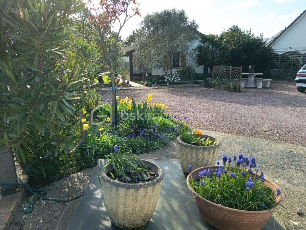 Maison à CRIEL-SUR-MER