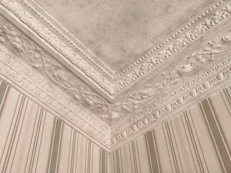 Charme de l'Ancien et volumes Exceptionnels "Maison de Maître à Rénover" - photo 11