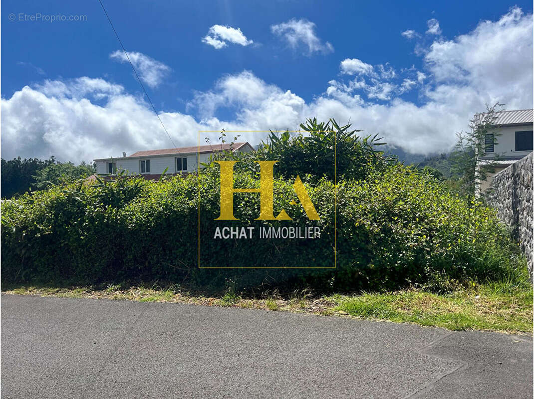 Terrain à LA PLAINE-DES-PALMISTES