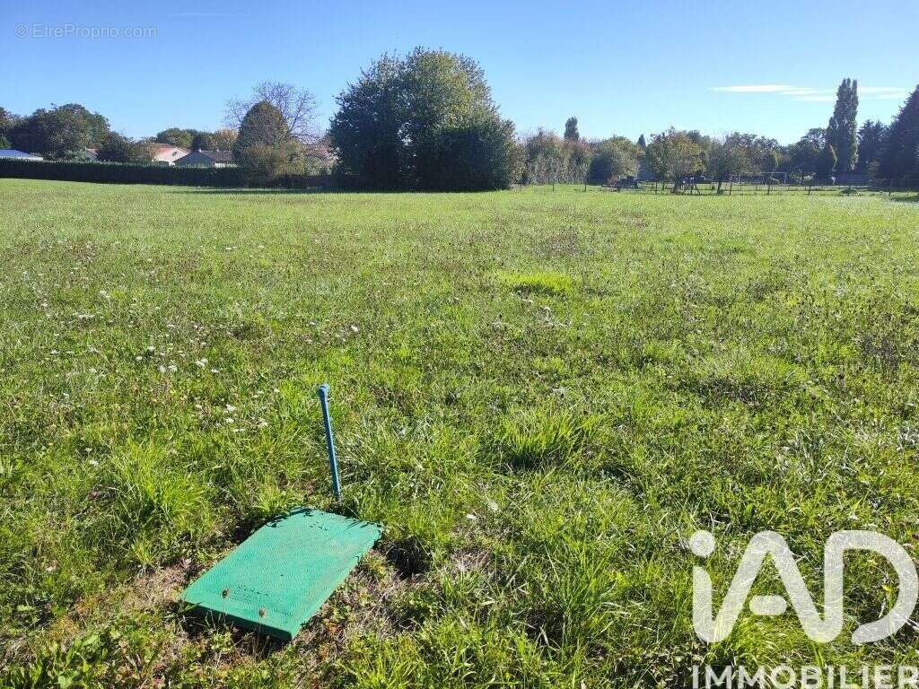 Photo 5 - Terrain à CHAMPAGNE-LE-SEC