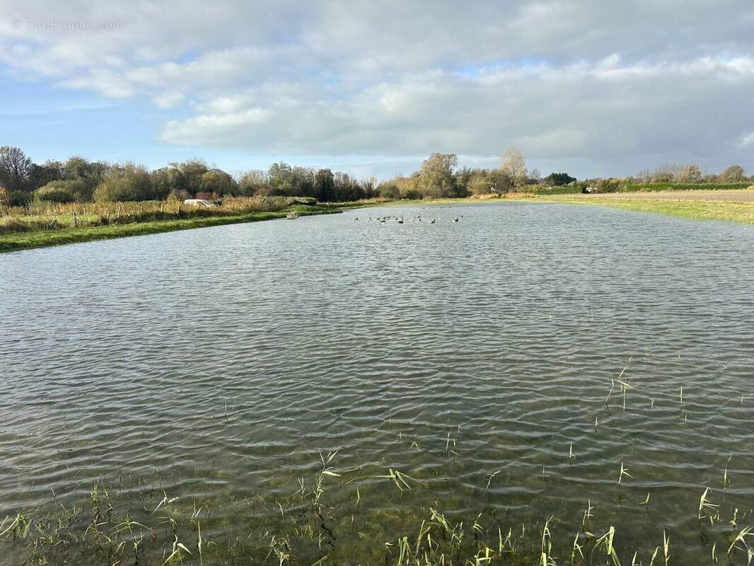 Terrain à CAYEUX-SUR-MER