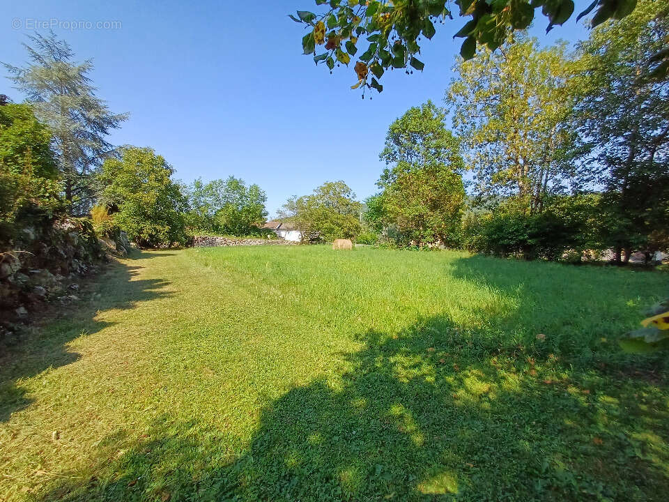 Terrain à CRAMPAGNA