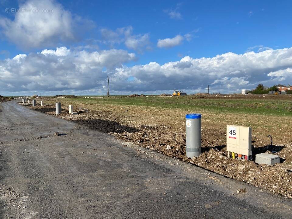 Terrain à MAZINGARBE