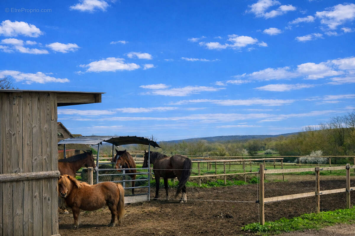 Maison à SENNECEY-LE-GRAND