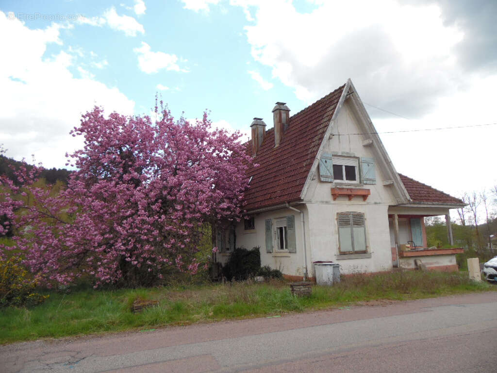Maison à MOUSSEY