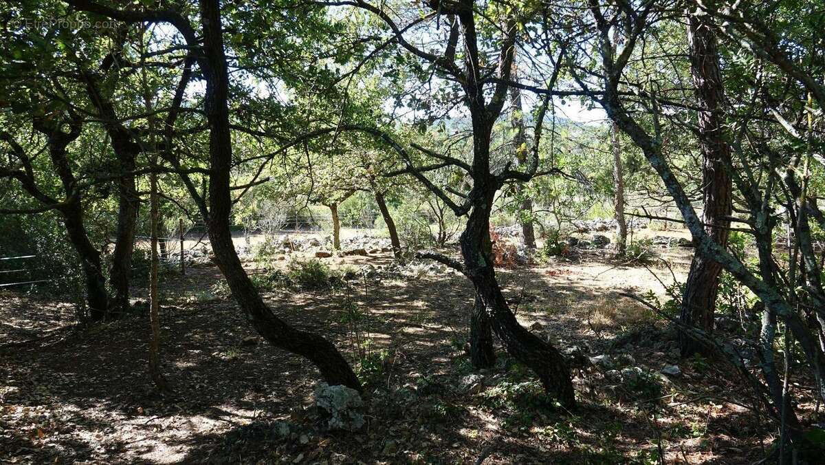 Photo 3 - Terrain à SAINT-MAXIMIN-LA-SAINTE-BAUME