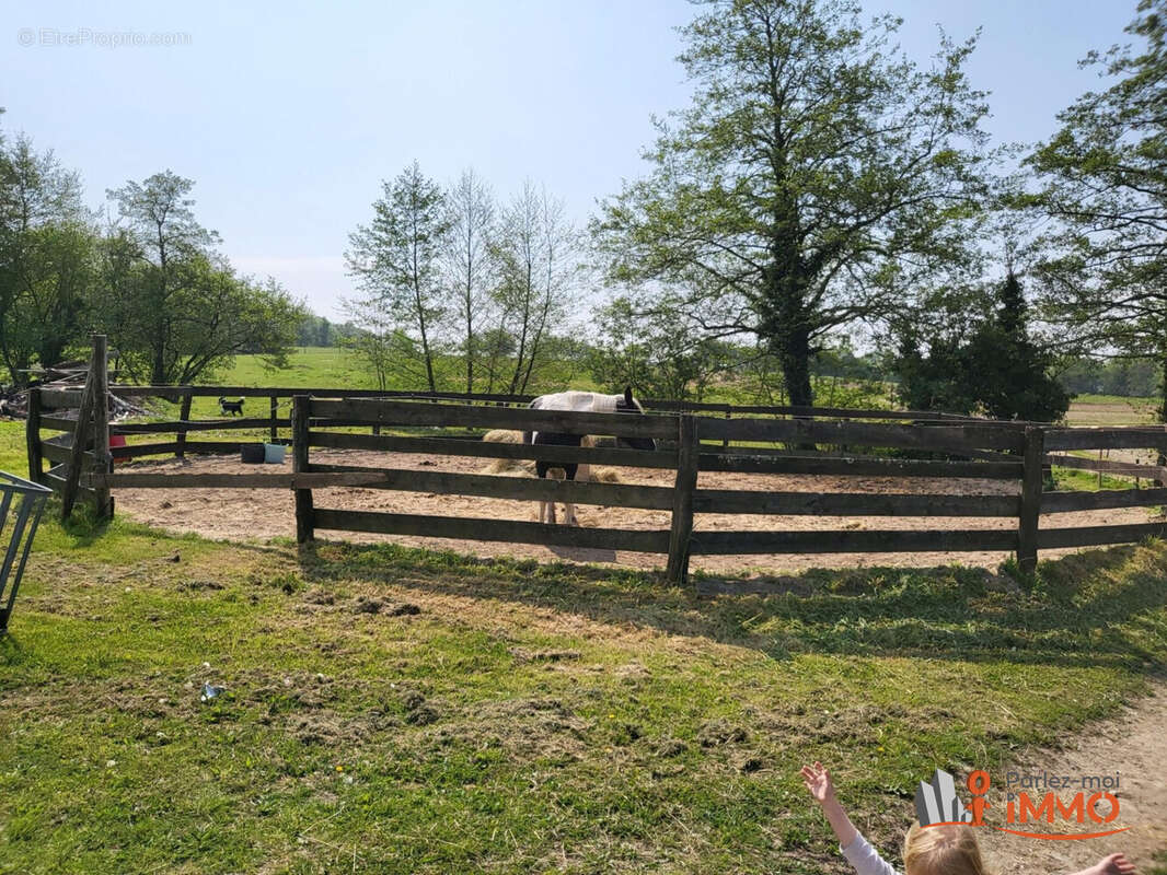 Maison à NEUILLY-EN-SANCERRE