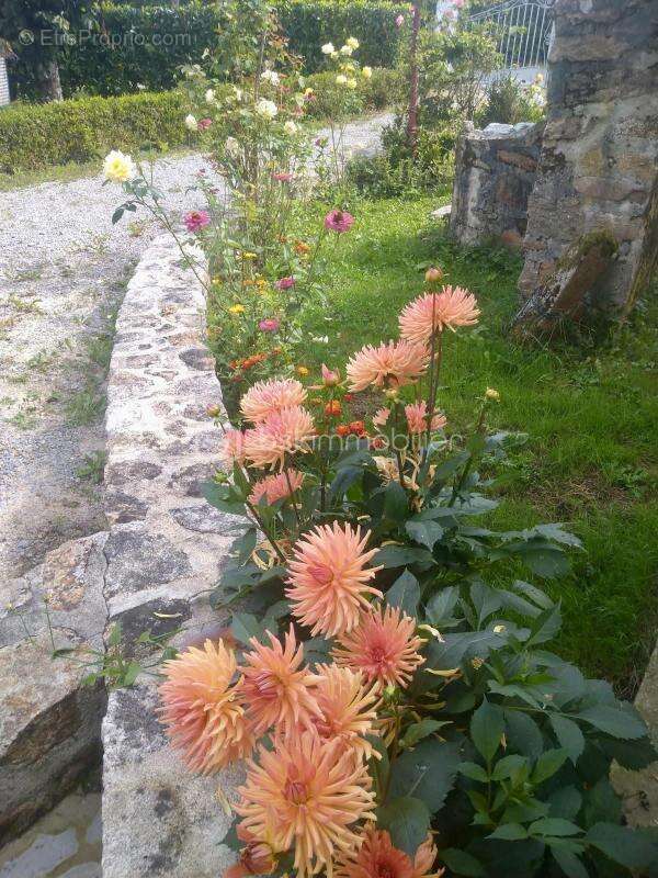 Maison à BONNAC-LA-COTE