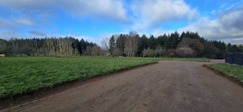 Terrain à LE PALAIS-SUR-VIENNE