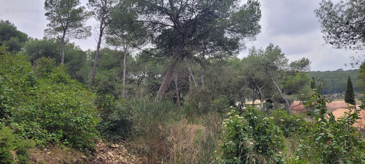 Terrain à CAVEIRAC