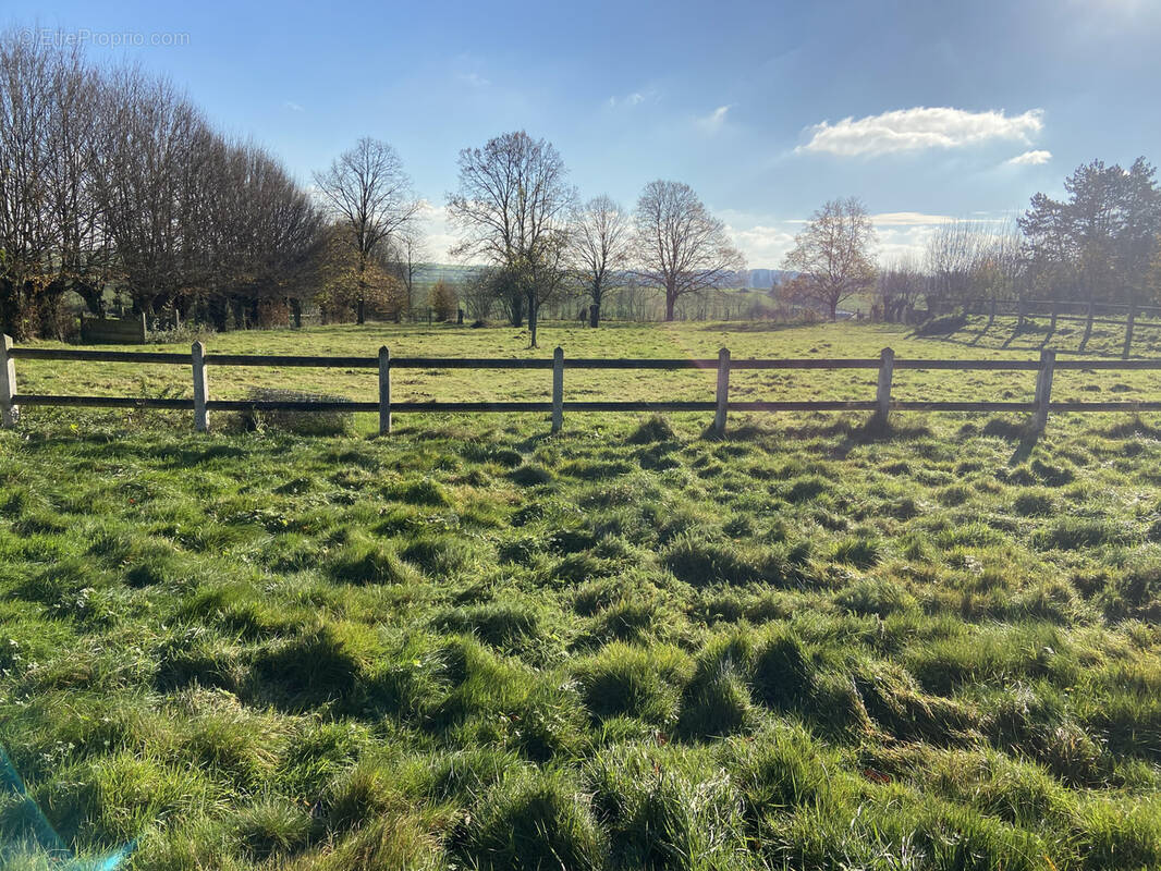 Terrain à HAUTEVILLE