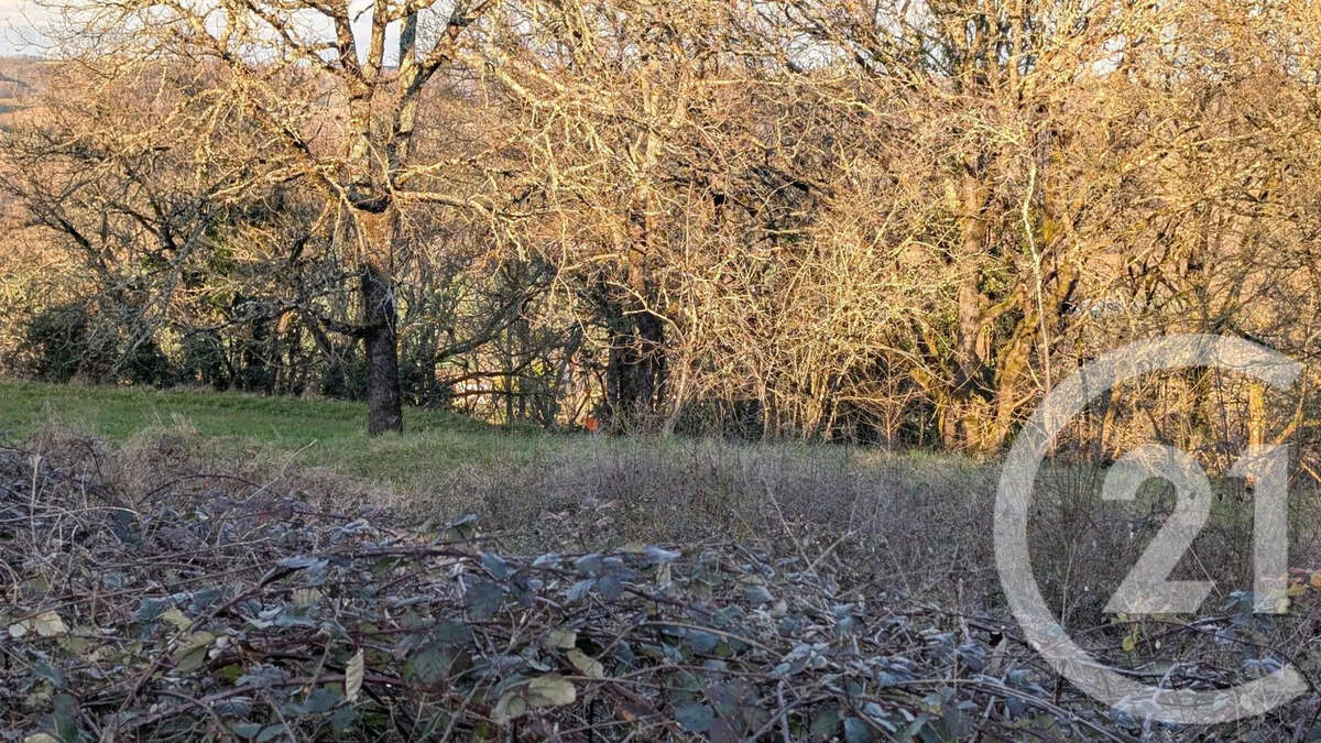 Terrain à BEAUVILLE