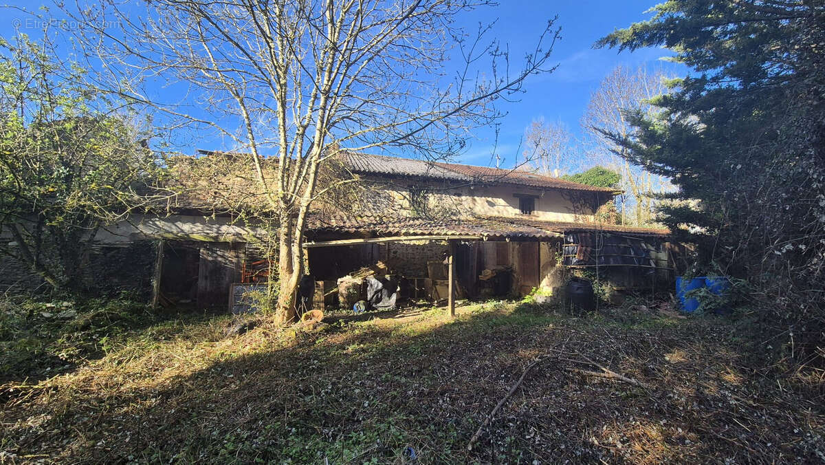 Maison 85 m² à Bussiere-Poitevine  - photo 3