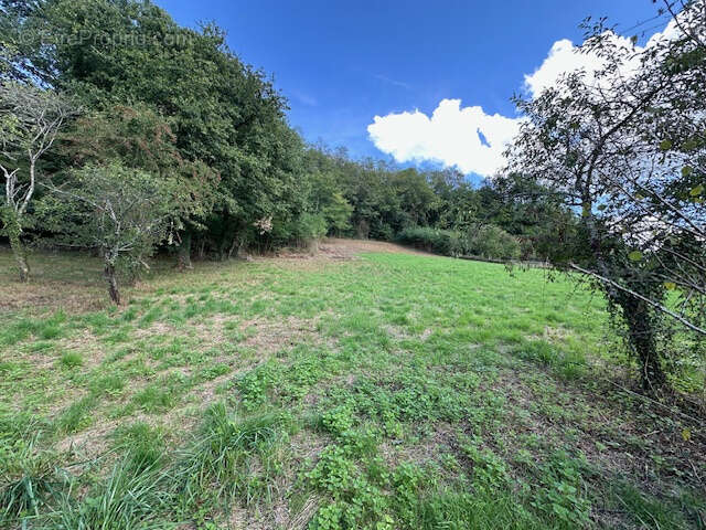 Maison à POUQUES-LORMES