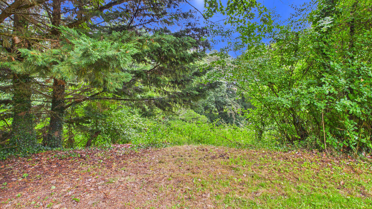 Terrain constructible de 2 244 m² avec forêt de 2 hectares - photo 5