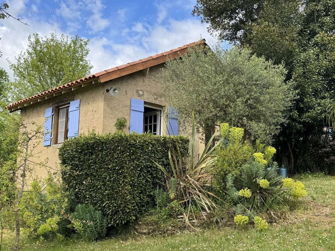 Dépendance avec studio - Maison à LE BUISSON-DE-CADOUIN