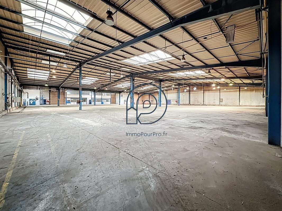 Commerce à SAINT-AMAND-LES-EAUX