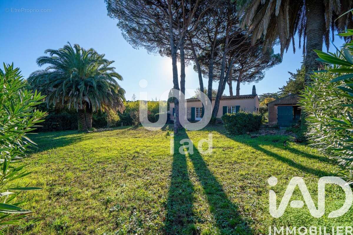 Photo 5 - Maison à SAINT-TROPEZ