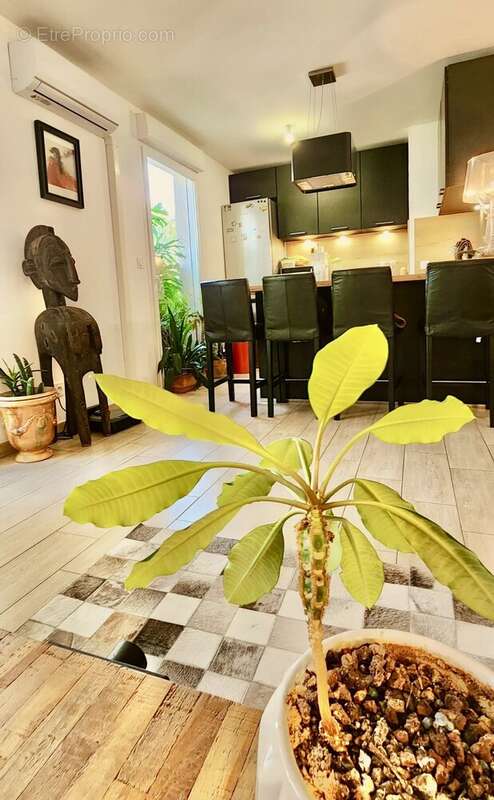 Appartement à CASTELNAU-LE-LEZ